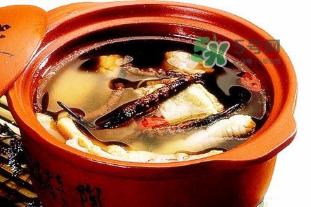 三伏天可以補腎嗎？三伏天可以進補嗎？