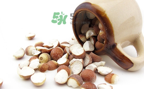 三伏天可以補腎嗎？三伏天可以進補嗎？