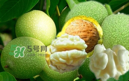 青皮核桃?guī)捉锍鲆唤锔珊颂?？青皮核桃什么時(shí)候成熟