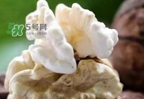 青皮核桃?guī)捉锍鲆唤锔珊颂?？青皮核桃什么時(shí)候成熟