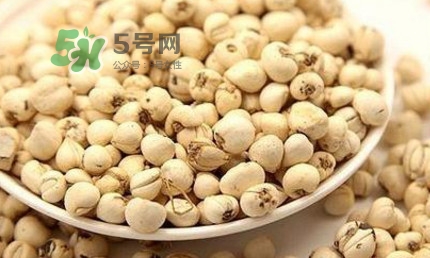 川貝母可以直接吃嗎？川貝母可以泡水喝嗎