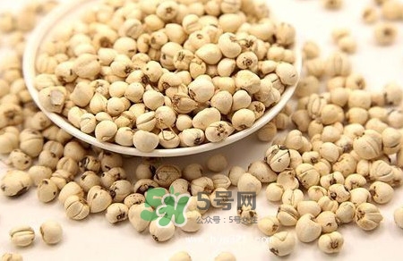 川貝母是苦的嗎？川貝母是涼性的嗎