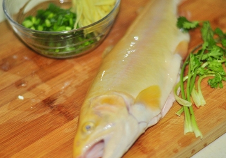 金鱒魚清蒸為什么變黑？食用金鱒魚有什么好處