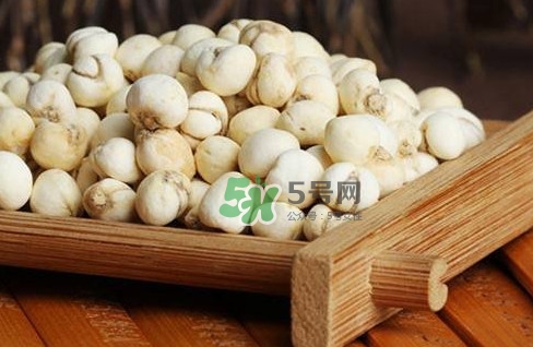 川貝母可以直接吃嗎？川貝母可以泡水喝嗎