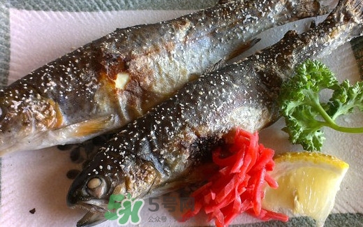 鱒魚是三文魚嗎？鱒魚是什么魚