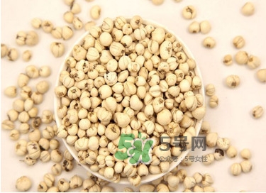 川貝母是苦的嗎？川貝母是涼性的嗎