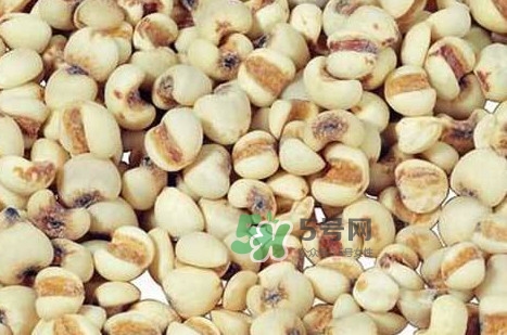 川貝母可以直接吃嗎？川貝母可以泡水喝嗎