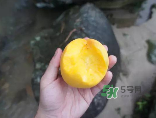 炎陵黃桃什么時候成熟？炎陵黃桃好吃嗎？