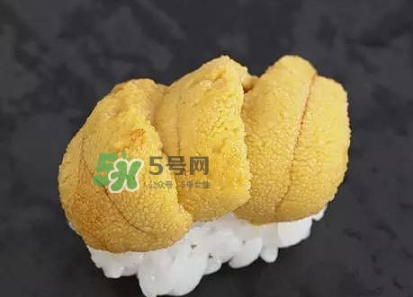 海膽怎么處理？海膽可以生吃嗎？