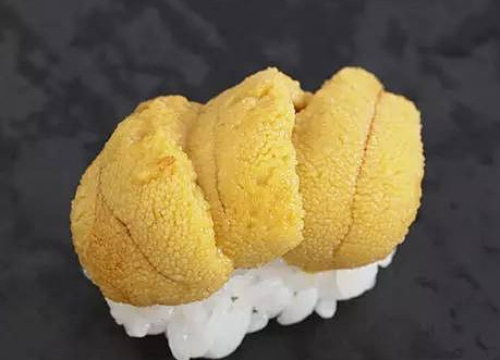 活海膽怎么殺？海膽怎么開殼？