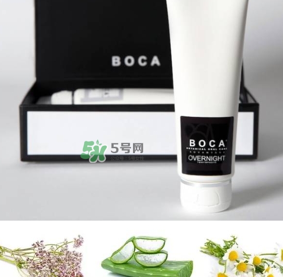 boca牙膏是什么牌子？boca牙膏多少錢哪里買？