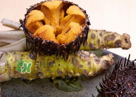 被海膽刺到怎么辦？吃海膽對身體有什么好處