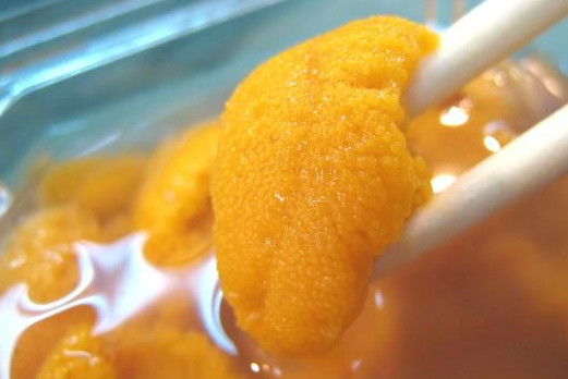 海膽什么季節(jié)最肥？海膽什么時候最肥