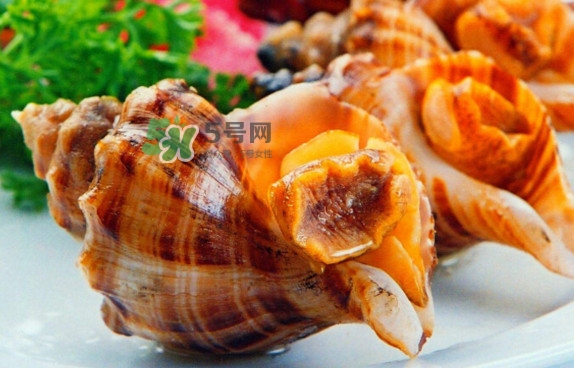 為什么海螺殼里面會有聲音？海螺和韭菜能不能一起吃