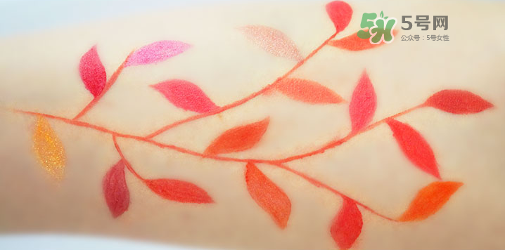 蒂詩顏口紅怎么樣？蒂詩顏口紅是哪里的牌子？