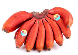紅香蕉是哪里的特產(chǎn)？紅香蕉什么時候成熟？