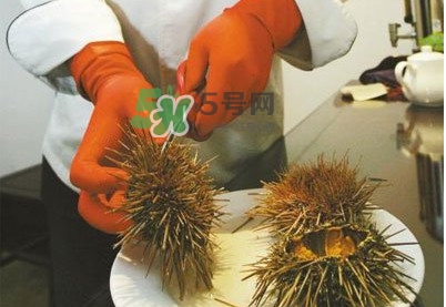 海膽是發(fā)物嗎？海膽是寒性的嗎