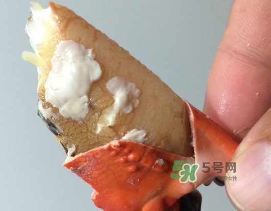 赤甲紅有母蟹嗎？赤甲紅為什么沒有母蟹？