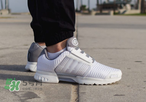 adidas climacool los angeles洛杉磯別注款怎么買_在哪買？