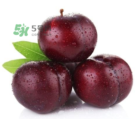 黑布林可以泡酒嗎？黑布林怎么吃？
