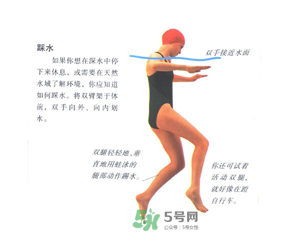 游泳怎么踩水？游泳踩水技巧圖解