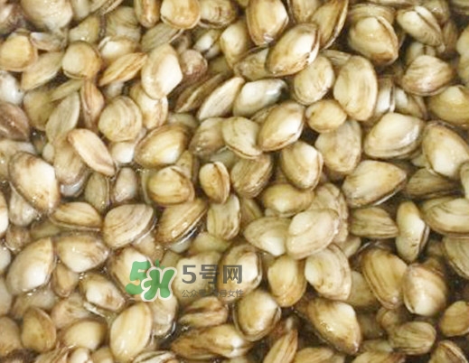 海瓜子怎么做好吃？海瓜子怎么清洗