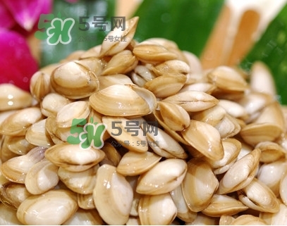 海瓜子怎么養(yǎng)？如何挑選海瓜子