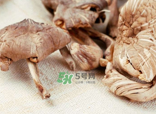 雞樅菌怎么讀？雞樅菌怎么做好吃？