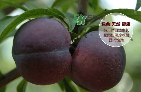 黑布林什么時(shí)候吃最好？黑布林什么人不能吃？