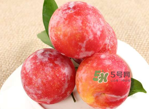 紅布林孕婦可以吃嗎？孕婦可以吃紅布林嗎？