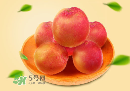 紅布林孕婦可以吃嗎？孕婦可以吃紅布林嗎？