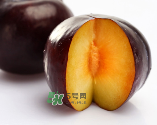 黑布李多少錢一斤？黑布李和紅布李哪個貴？