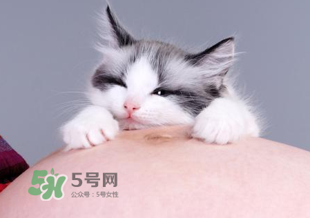 孕婦被貓抓了怎么辦？孕婦被貓抓傷了對寶寶有什么影響？