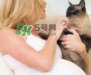 孕婦被貓抓了怎么辦？孕婦被貓抓傷了對寶寶有什么影響？