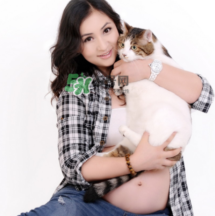孕婦被貓抓了怎么辦？孕婦被貓抓傷了對寶寶有什么影響？