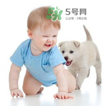 寵物對(duì)嬰兒的影響 寵物對(duì)嬰兒的危害有哪些？