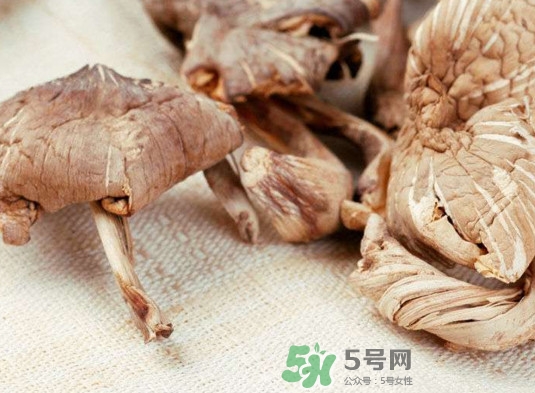 雞樅菌有毒嗎？雞樅菌不能和什么一起吃？