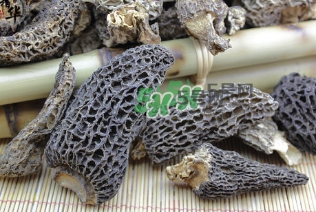 羊肚菌最大產(chǎn)地是哪兒？羊肚菌怎么泡發(fā)