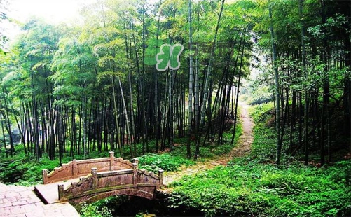 夏天去哪里旅游最好？夏天旅游哪里涼快？