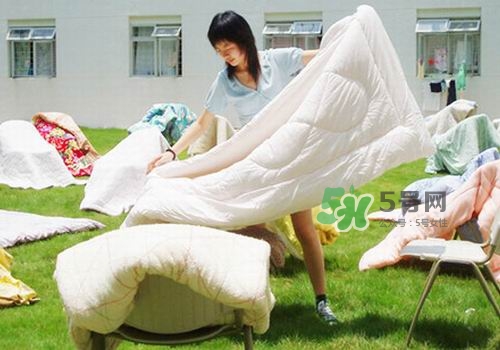 三伏天能曬被子嗎？三伏天曬被子好嗎？