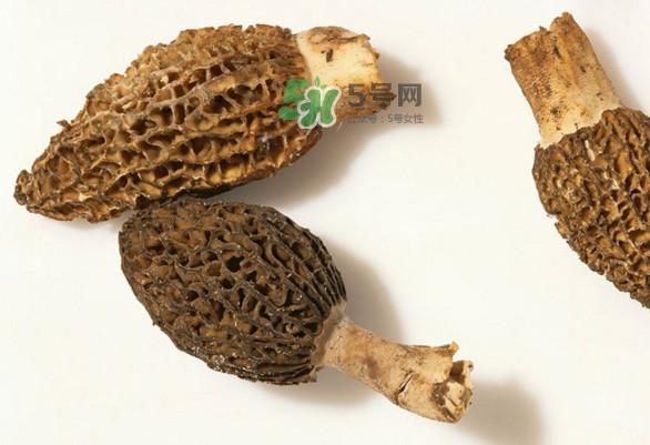 羊肚菌可以泡茶喝嗎？羊肚菌可以生吃嗎