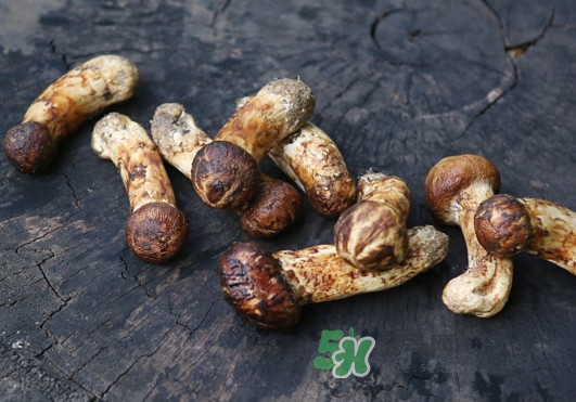 新鮮松茸怎么吃？松茸怎么吃最有營(yíng)養(yǎng)