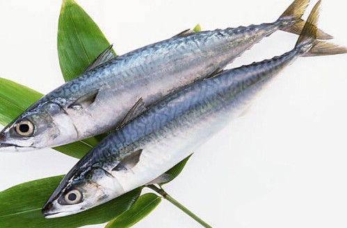 鳡魚吃什么？翹嘴魚和鳡魚有什么區(qū)別