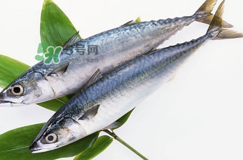 一般鳡魚能長(zhǎng)到多大？鳡魚與假鳡魚怎么區(qū)分