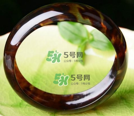 玳瑁是什么？玳瑁是國(guó)家保護(hù)動(dòng)物嗎？