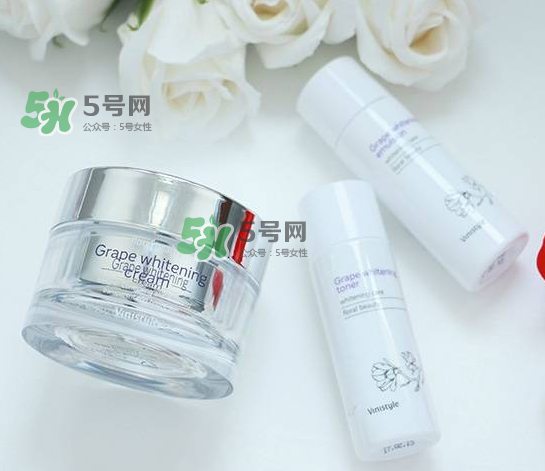 vinistyle是什么檔次？vinistyle怎么樣？