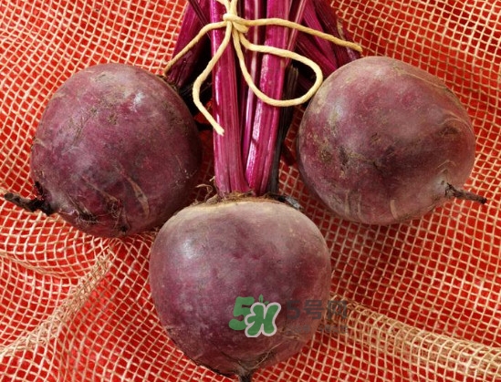 甜菜根是什么菜？甜菜根什么季節(jié)收獲