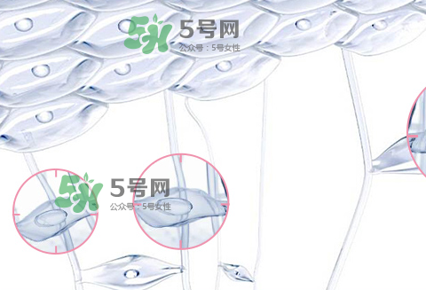 嬌韻詩青春賦活兩件套裝多少錢？嬌韻詩全新青春賦活系列怎么樣？