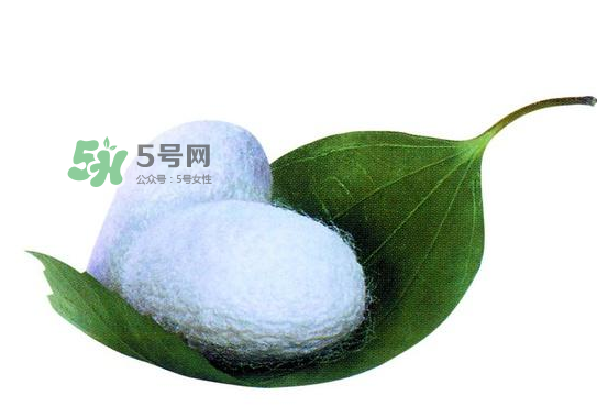 蠶繭多少錢一斤2017？2017年蠶繭價格是多少？