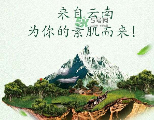 采之汲是什么牌子？采之汲是什么檔次？